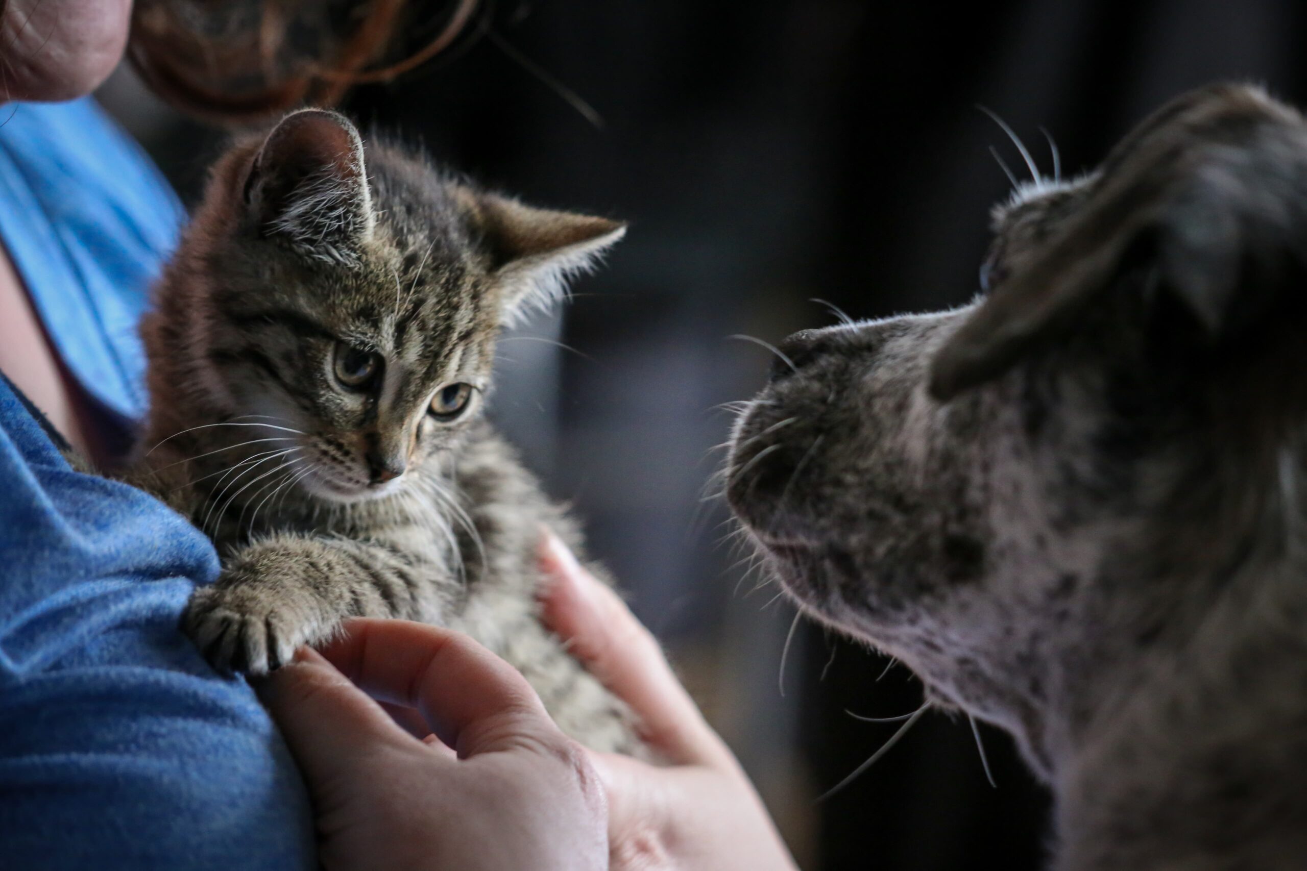belle-rencontre